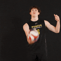 Fort Wayne Volleyball GIF by Purdue Fort Wayne Athletics