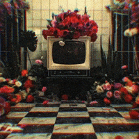 Vaporwave GIF by Garbi KW