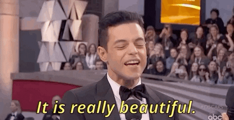 It Is Really Beautiful Red Carpet GIF by The Academy Awards