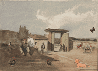 dog vintage GIF by Biblioteca Nacional de España