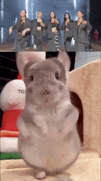 Gold Sue GIF