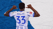 Bundesliga Berlin GIF by Hertha BSC