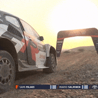 Starting Bye Bye GIF by FIA World Rally Championship