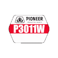 Pioneer Maiz Sticker by Grupo Sacsa