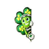 Colegioirlandesanahuac clover cia anahuac irlandes Sticker