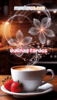 Amigos Tiene GIF by Murcianys LLC