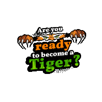 ans_tigers tigers ans become a tiger Sticker