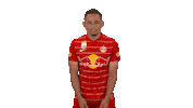Red Bull Dancing Sticker by FC Red Bull Salzburg