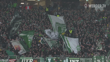 Football Soccer GIF by SV Werder Bremen