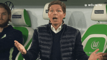 Head Coach No GIF by VfL Wolfsburg
