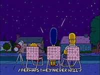 homer simpson GIF