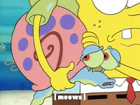 season 2 survival of the idiots GIF by SpongeBob SquarePants