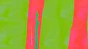 Video Art GIF by cskonopka