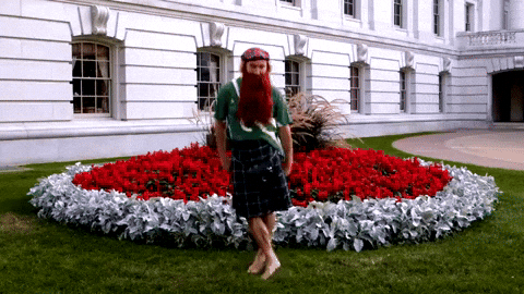 Dance Anthony GIF by The Wiggles