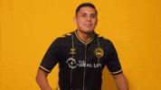 South Carolina Soccer GIF by Charleston Battery