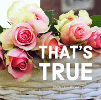 True Jesus Victoriabea4 Thatstrue GIF