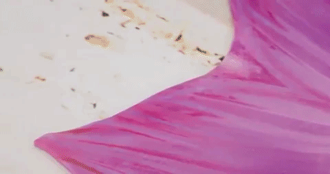 abyss mermaid queue de sirÃ¨ne GIF