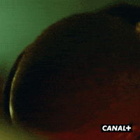 Rap Mean GIF by CANAL+