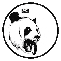 Citysidecrossfit crossfit rein graphics reingraphics cityside Sticker