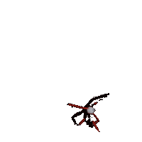 Animation Film Sticker by Red Giant