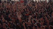 excited let's go GIF by NBA
