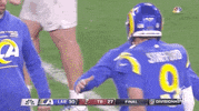 Los Angeles Rams Football GIF by NFL