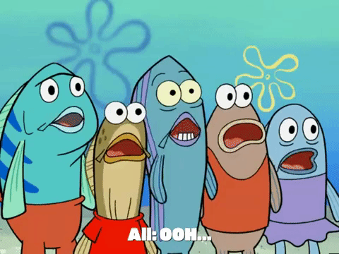 season 6 GIF by SpongeBob SquarePants