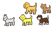 happy cat Sticker by doghero