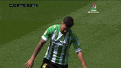 Real Betis GIF by Real Betis Balompié