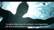 Mar Carlos Cuevas GIF by Movistar+