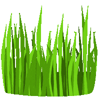 Plant Sommer Sticker by Möbel Höffner