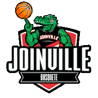 basketball ball Sticker by UniSociesc