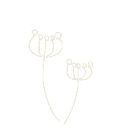 Daisy 花 Sticker