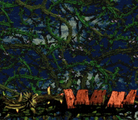 Donkey Kong Snes GIF