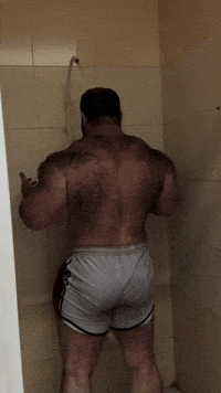 Bear Daddy GIF by Database數據