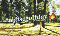 Golf Golfing GIF
