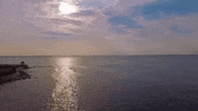 rhode island GIF