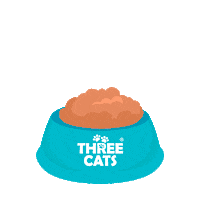 Cats Gatos Sticker by Hercosul