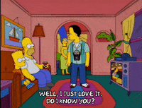 homer simpson john GIF