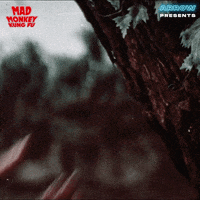 Martial Arts Fighting GIF by Arrow Video