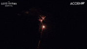 New Years Yes GIF by Acorn TV
