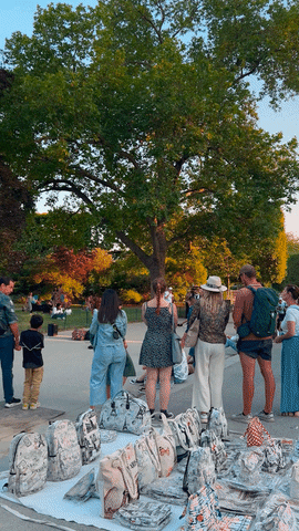 France Travel GIF