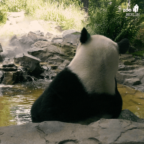 Weekend Relaxing GIF by Zoo Berlin