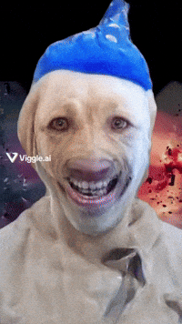 Dog Mango GIF
