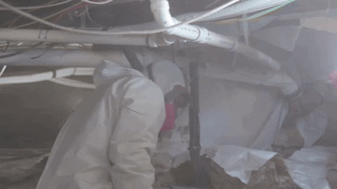 scsfoam giphyupload crawl space prep encapsulation prep crawl space insulation GIF