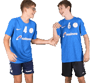 Mc Sticker by THE DOGS - TSV Pfungstadt Handball