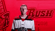 Be Quiet South Dakota GIF by Rapid City Rush