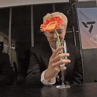 Cheers Salute GIF