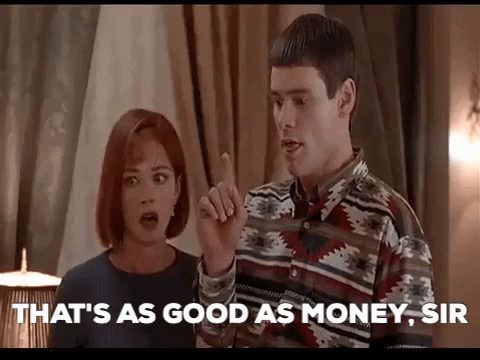 Lightfoot510 giphygifmaker dumb and dummer GIF