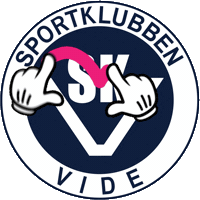 Innebandy Sticker by SK Vide
